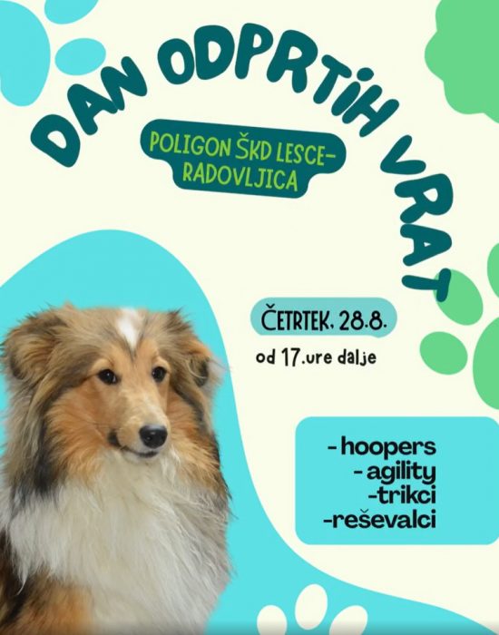 DAN ODPRTIH VRAT