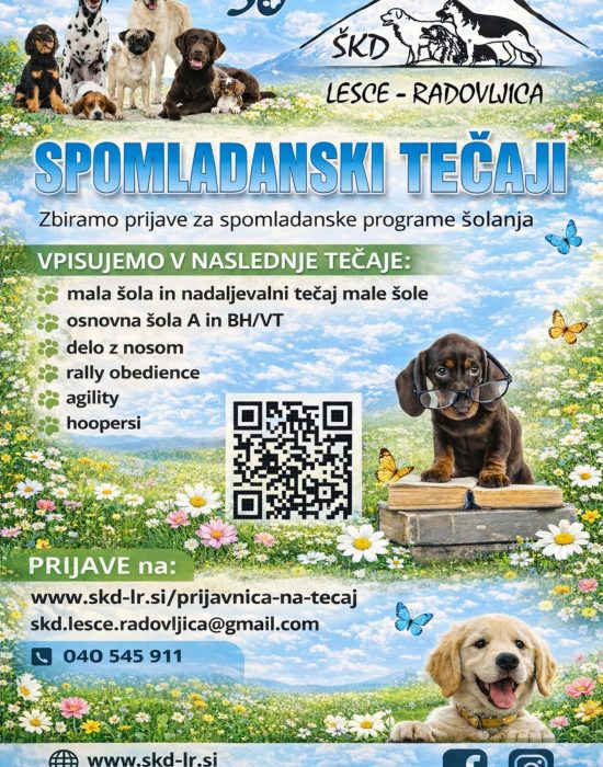 SPOMLADANSKI TEČAJI